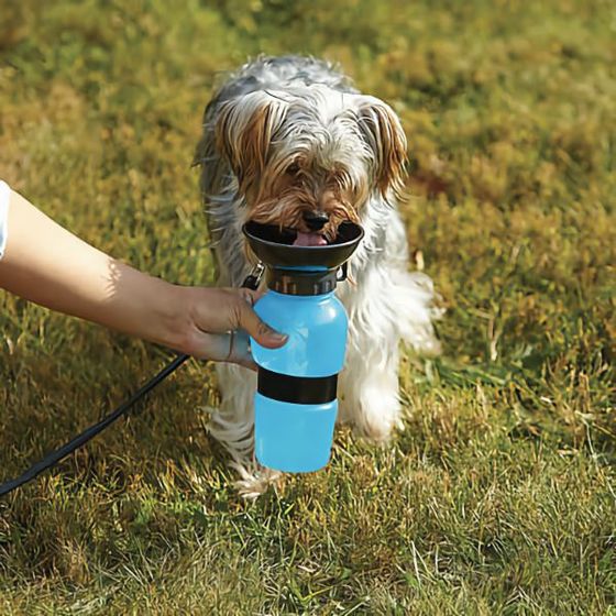 Μπουκάλι ποτίστρα νερού για σκύλους