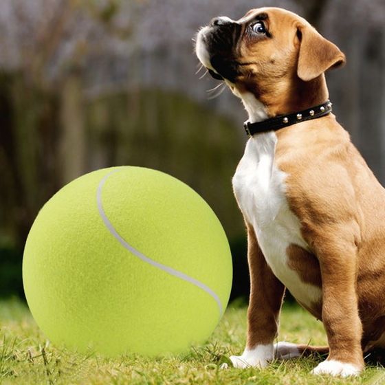 Γιγαντιαία μπάλα τένις για σκύλους