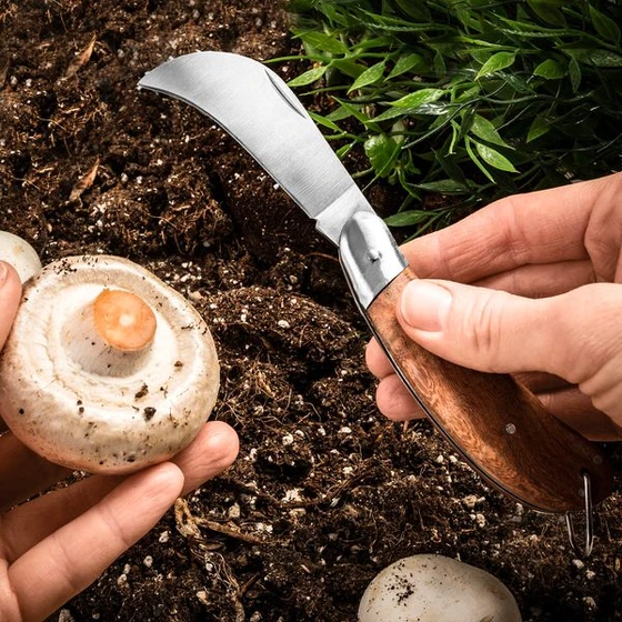 Μαχαίρι κήπου και συλλογής μανιταριών